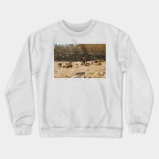 Cows Crewneck Sweatshirt